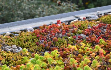 the cost of Engedi green roof installation