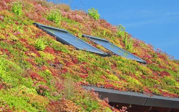 Engedi living roof systems