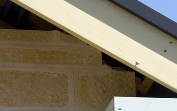 soffit repair Engedi