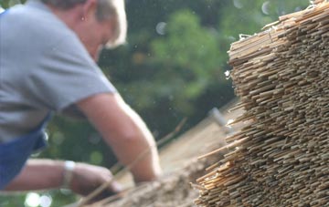 professional Engedi thatchers