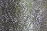 Engedi fibreglass roof work